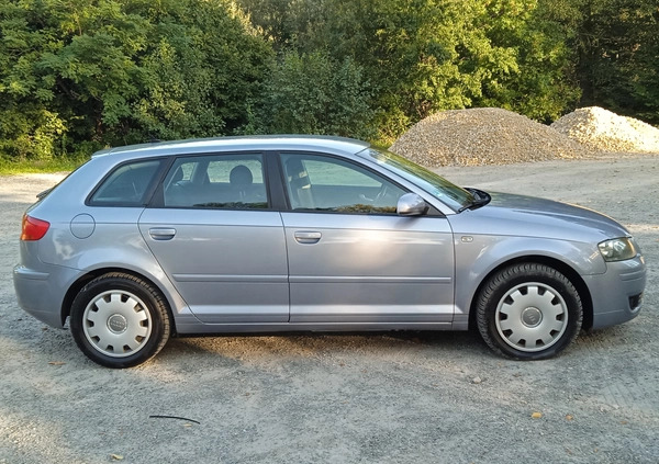 Audi A3 cena 19800 przebieg: 205000, rok produkcji 2005 z Stopnica małe 436
